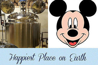 Happiest Place on Earth?